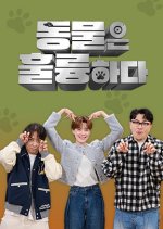 Animals Are Incredible Korean TV Program photo