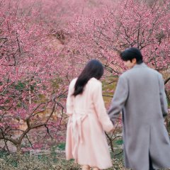 É Minha Luz Chinese Drama(2025) photo