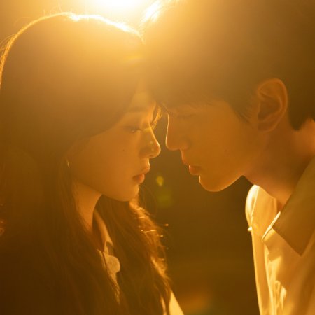 The Warmth in the Dark ()