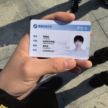 Sunshine through the Rain ()