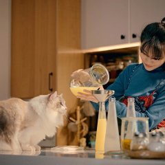 A Table for One (Is Great Too) Taiwanese Drama photo