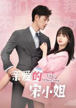 Dear Miss Song Chinese Drama photo