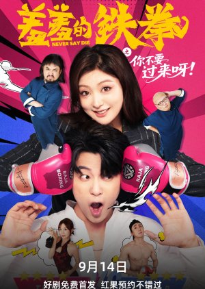 Never Say Die (2025) poster