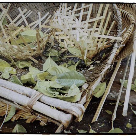 Fight for Love (2025)