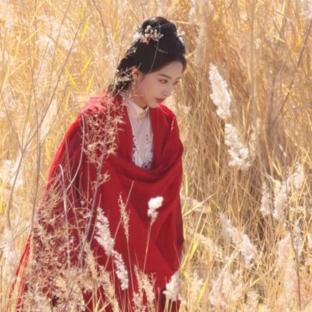 The Road to Splendor ()