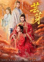 Yun Ya Chinese Drama(2025) photo