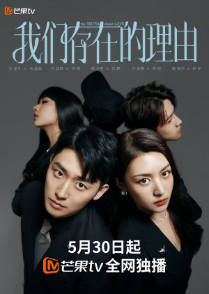 The Truth about Love (2025) poster