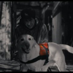 Light Shop Korean Drama photo