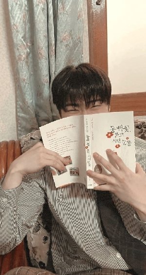 나비