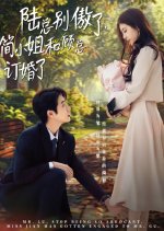 Mr. Lu, Stop Being So Arrogant, Miss Jian Has Gotten Engaged to Mr. Gu Chinese Drama photo