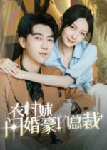 Mr. Gu's Lovely Wife Chinese Drama(2024) photo