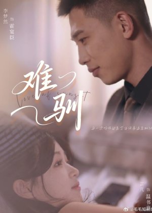 Love of Sunset (2025) poster