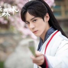 Echo of Her Voice Chinese Drama photo