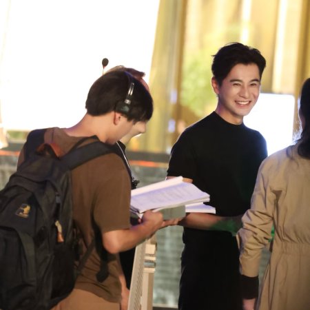 The Vanishing Beauty ()