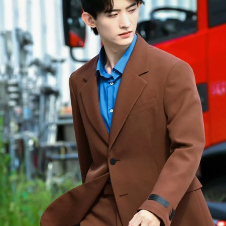 The Vanishing Beauty ()