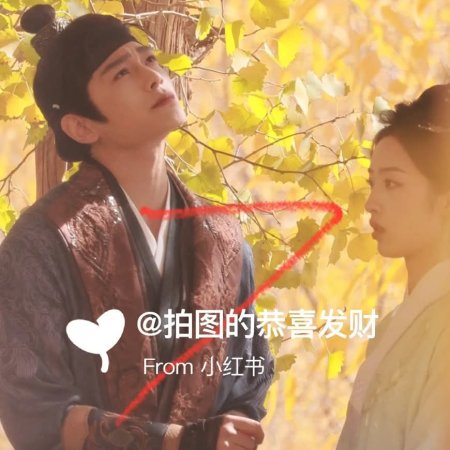 The Road to Splendor ()