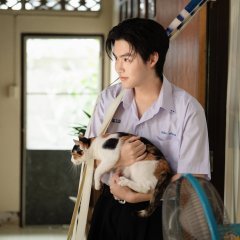 Good Boy Thai Drama(0000) photo