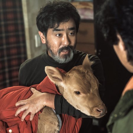 Cattle Run (2026)