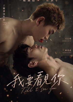 Till I See You (2026) poster