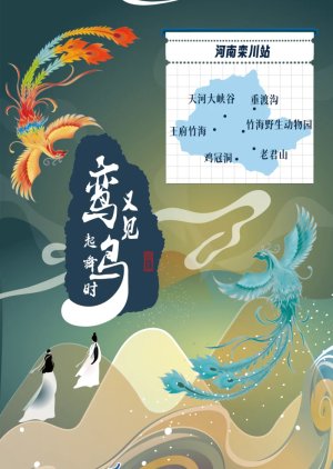 You Jian Luan Niao Qi Wu Shi (2024) poster