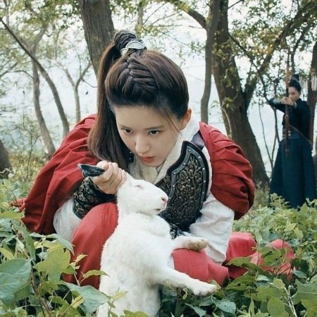 The Romance of Tiger and Rose (2020)