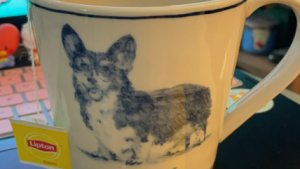 GimmeCorgiBabies