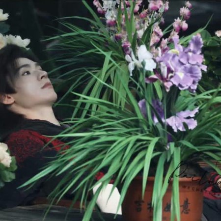 The Legend of Lu Xiaofeng ()