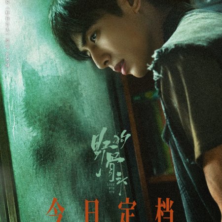 Love for You (2026)
