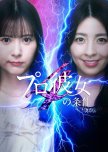 Tokyo Cinderella Season 4