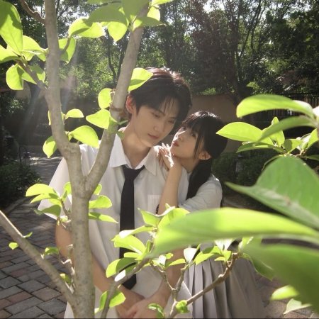 Never-Ending Summer (2026)