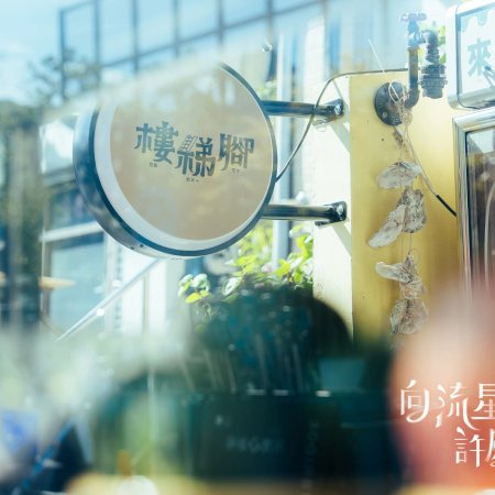 Wishing upon the Shooting Stars (2026)