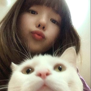 Noe