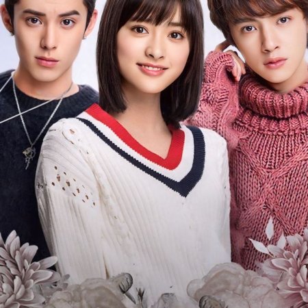 Meteor Garden (2018)