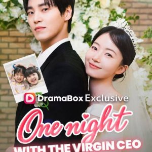 One Night with the Virgin CEO (2026)