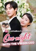 One Night with the Virgin CEO Korean Drama(2026) photo