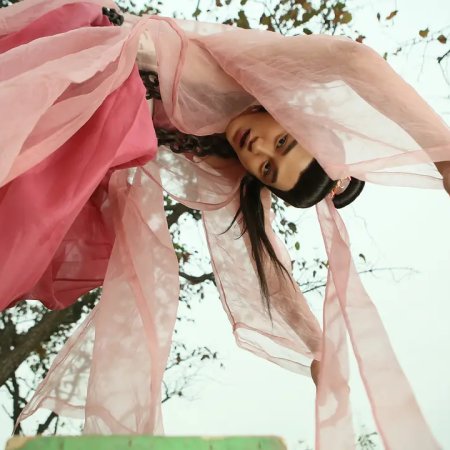 Journey to the West 2: The Demons Strike Back (2017)