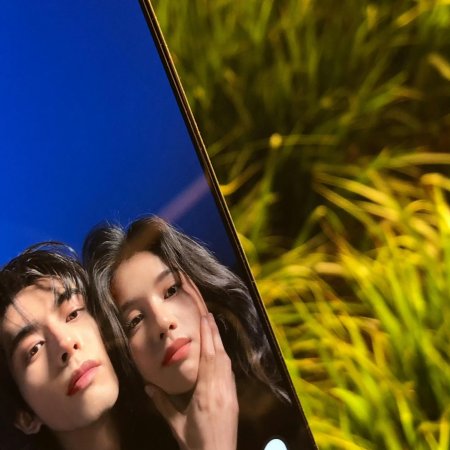 Love for You (2026)