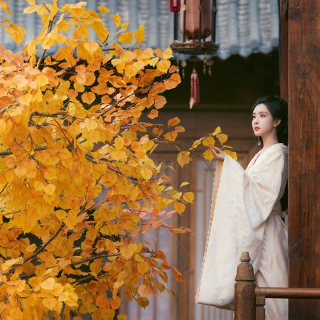 Meng Zi Yi