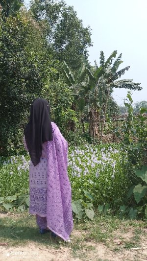 SanaJeinab