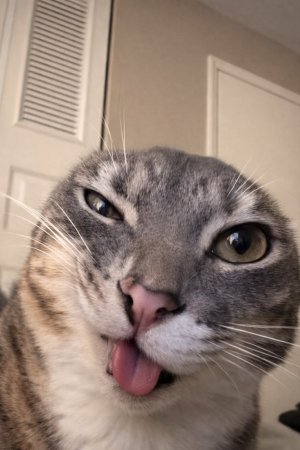 byurr