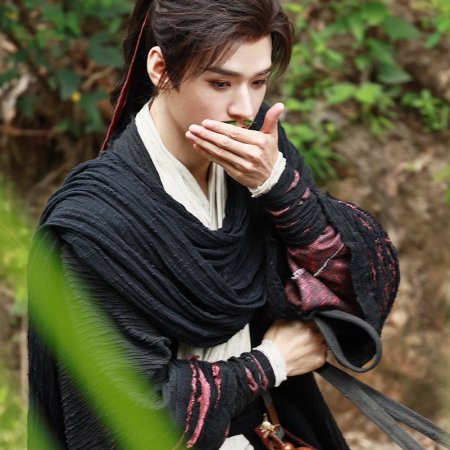 The Legend of Lu Xiaofeng ()