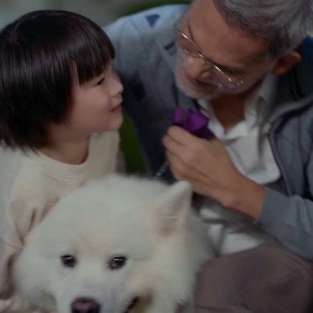 Denied Love Special Endless (2026)