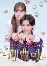 Michibata de Hirowareta Wanko-kei Danshi wa Onzoshi!?