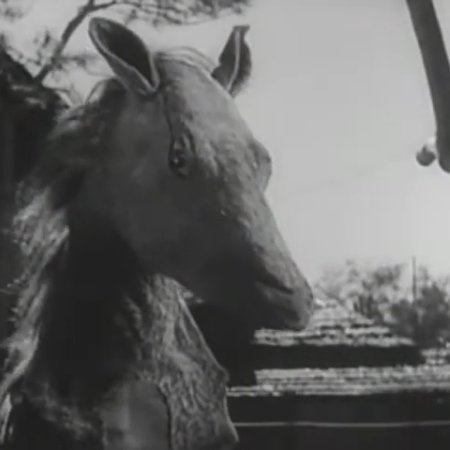 Travelling Actors ()