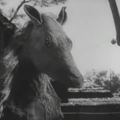 Travelling Actors Japanese Movie photo