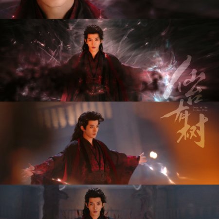 Love of the Divine Tree (2025)