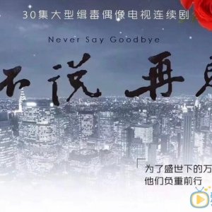 Never Say Goodbye (2021)