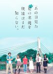 Anohana: The Flower We Saw That Day japanese special review