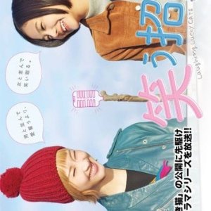 Kamisama no Boto  (2013)