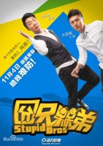 Stupid Bros Chinese Drama photo